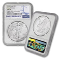 1 oz American Silver Eagle Coin F252