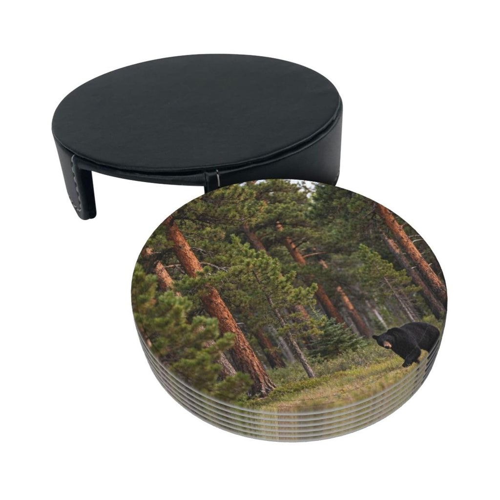 Black Bear Pattern Leather Coasters Set of 6 R8913
