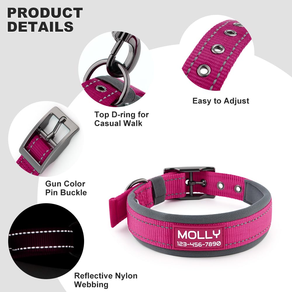 Personalized Dog Collar with Name and Number T28500