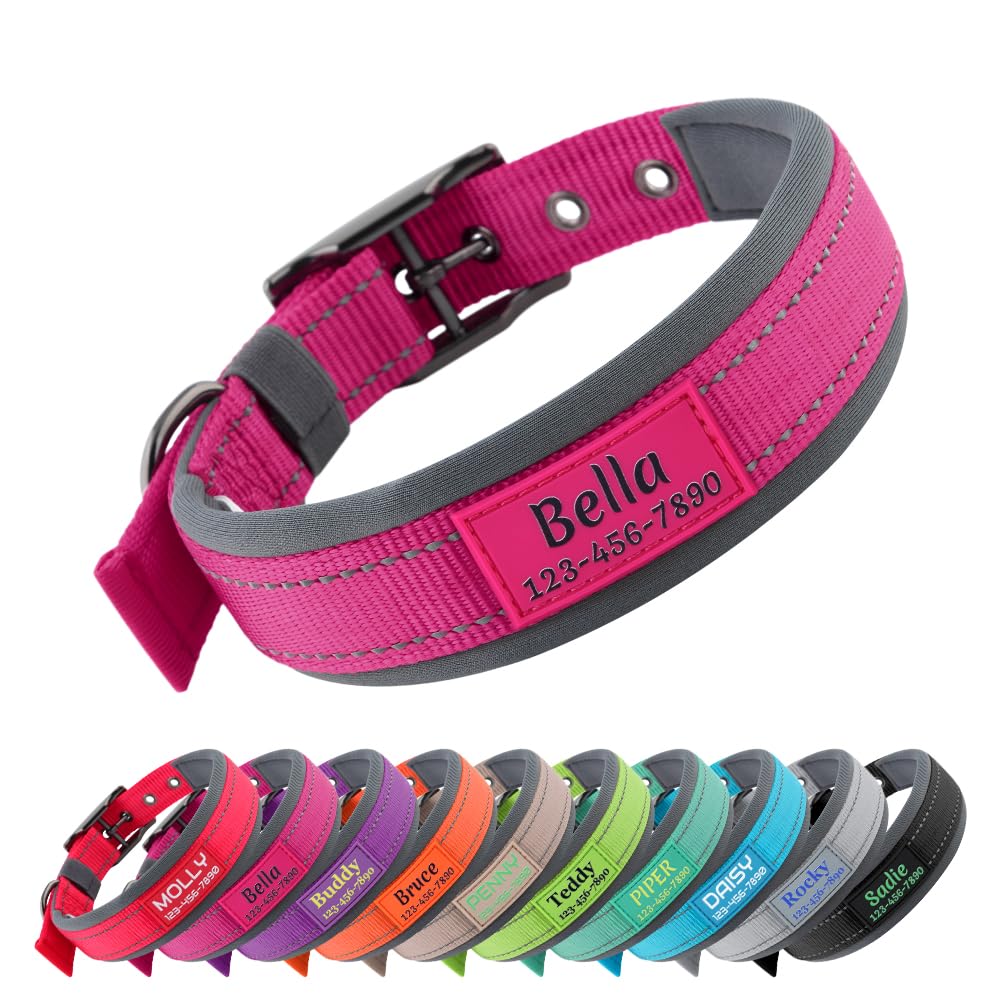Personalized Dog Collar with Name and Number T28500