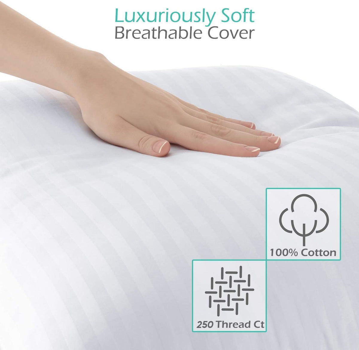 Queen Size Cotton Down Alternative Pillows Set of 2 N3694