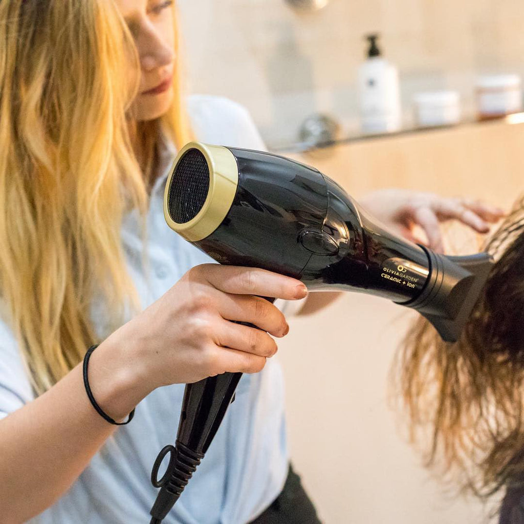 1875W Ceramic Ion Hair Dryer with 2 Nozzles D3721