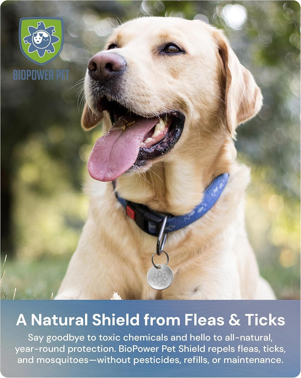 Natural Flea & Tick Repellent Collar Tag for Dogs & Cats Stainless Steel 2 Pack J7186