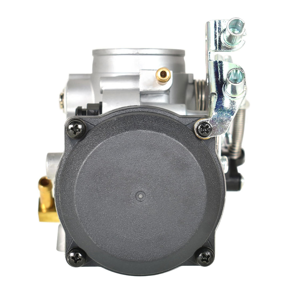 40mm Carburetor P829