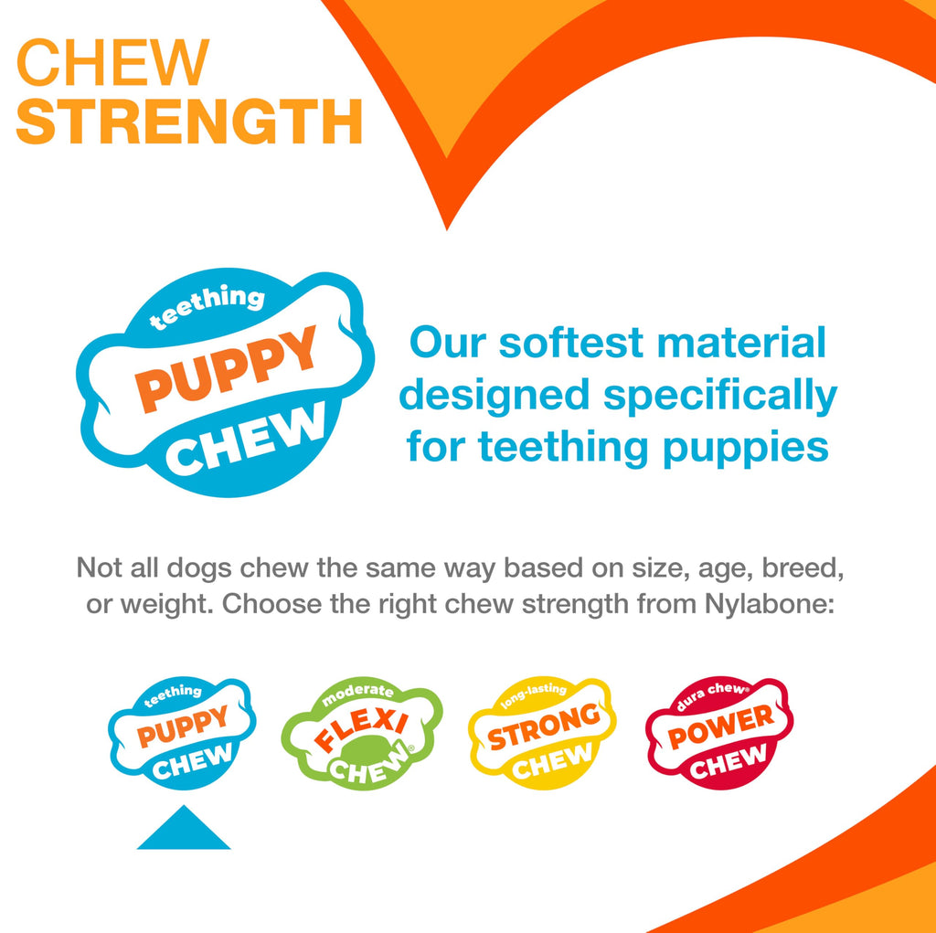 Chicken Flavor X-Small Dog Chew Toy V236