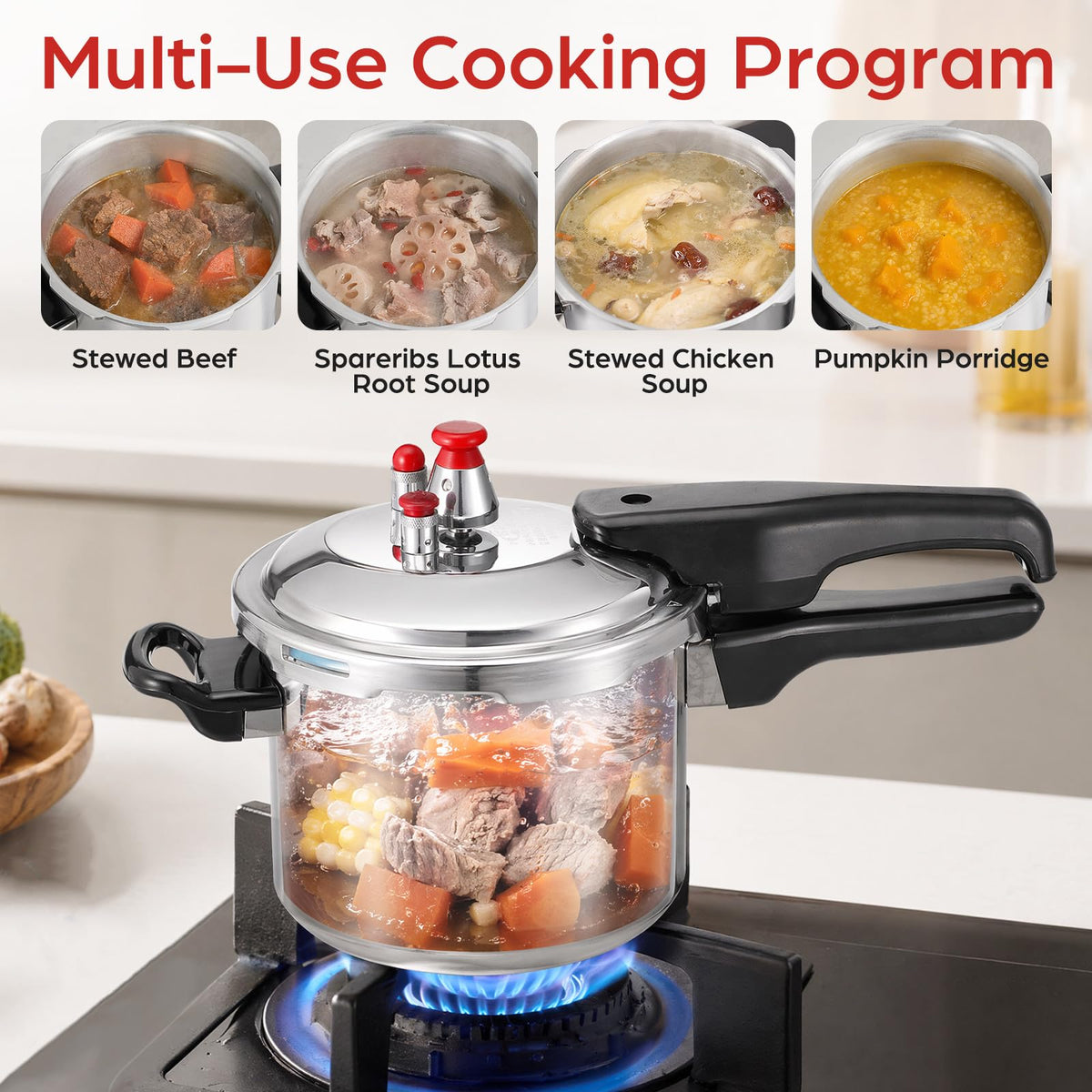 2.6 Quart Small Stovetop Pressure Cooker U205