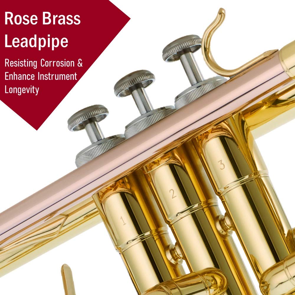 Bb Trumpet Set Rose Brass Leadpipe S913631
