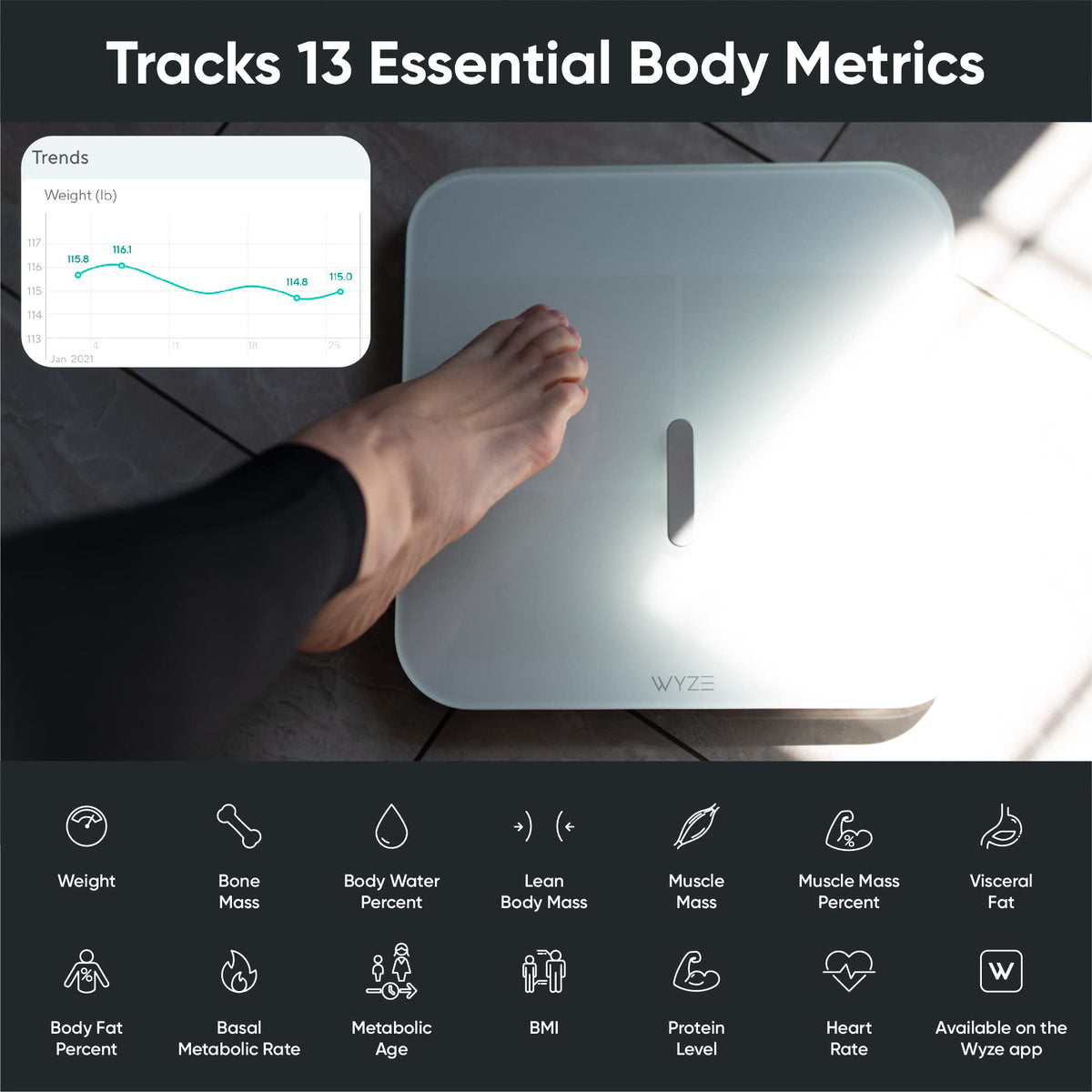 Smart Scale & Cordless Vacuum V1783