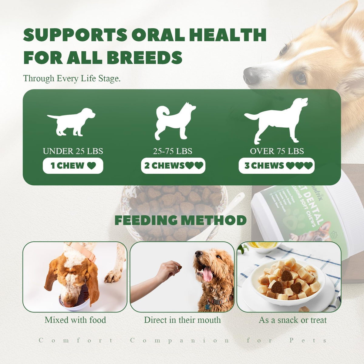 Dog Dental Chews with Natural Enzymes A4251