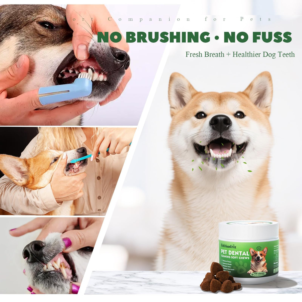 Dog Dental Chews with Natural Enzymes A4251