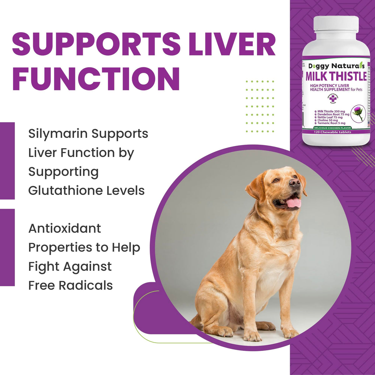 Milk Thistle Liver Health Supplement for Dogs 120 tabs G558368