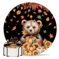Set of 6 Absorbent Stone Ceramic Coasters with Holder R734