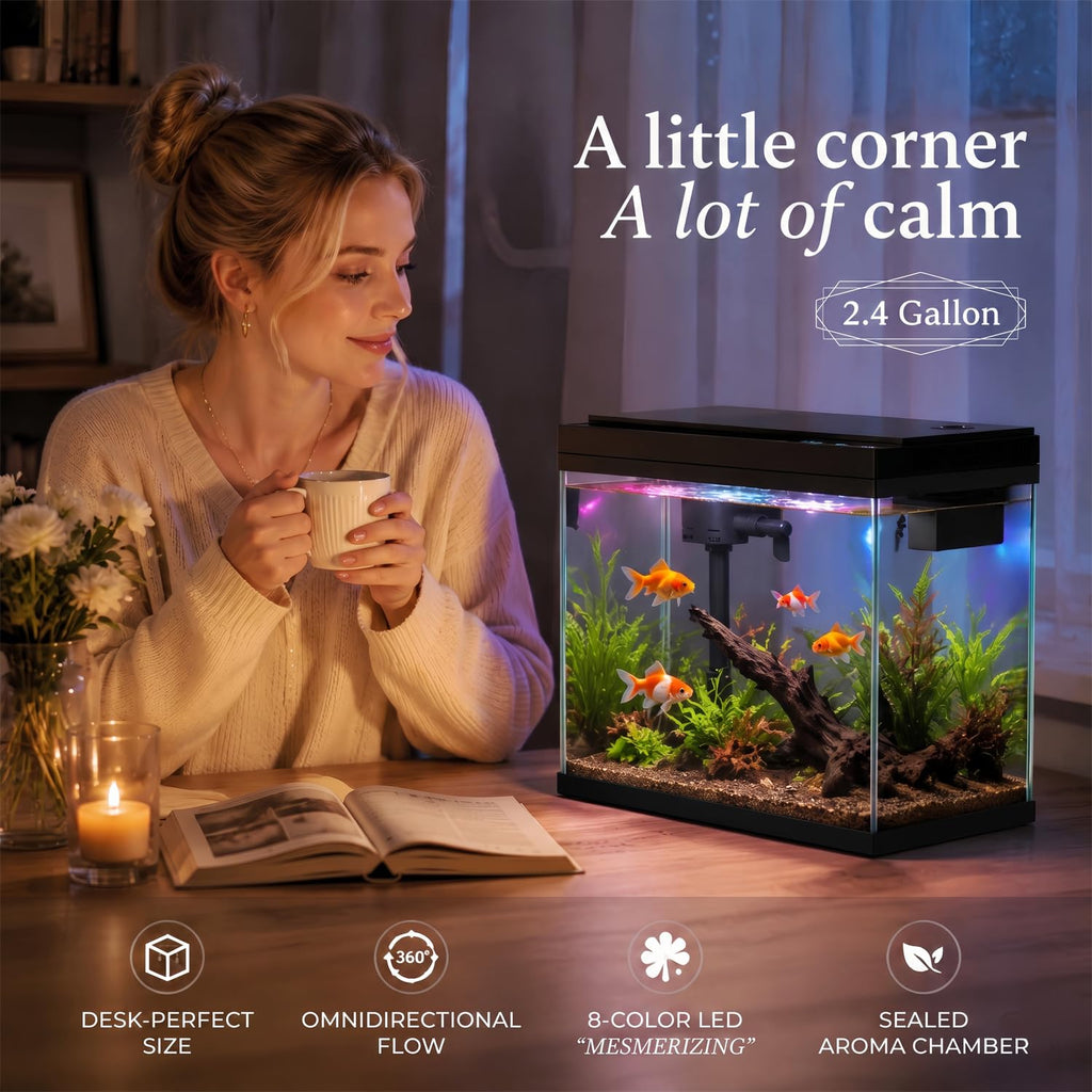 2.4 Gallon Desktop Betta Fish Tank Starter Kit F801936