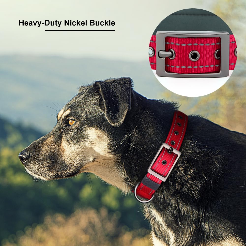 Personalized Dog Collar with Name and Number T28500