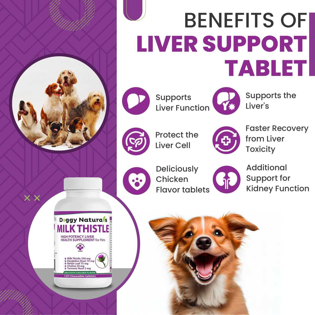 Milk Thistle Liver Health Supplement for Dogs 120 tabs G558368
