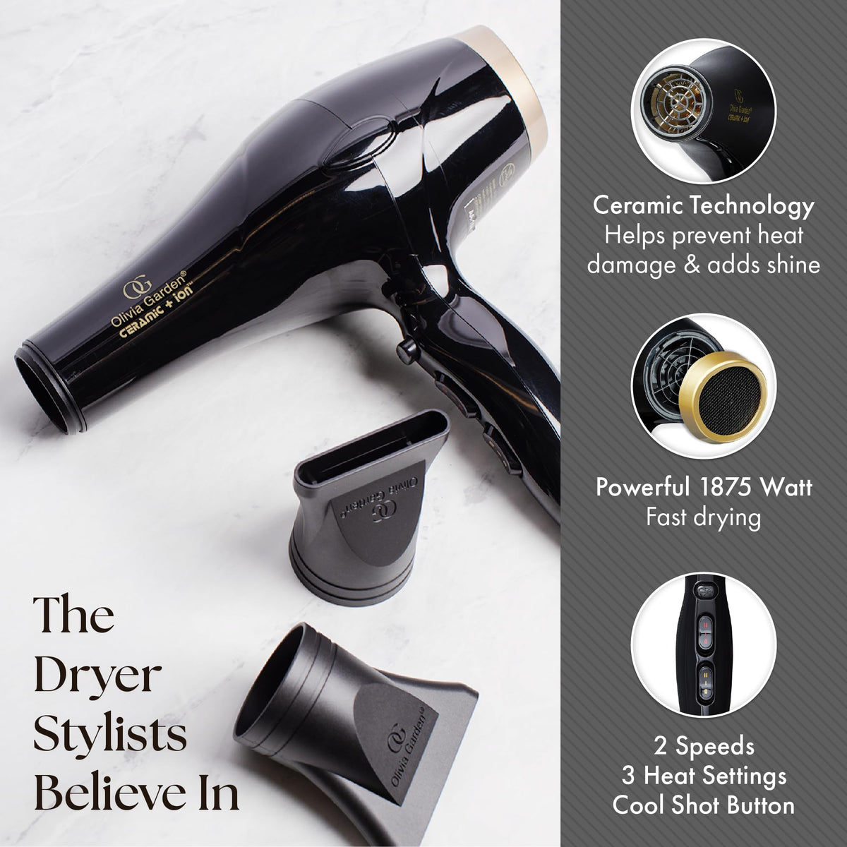 1875W Ceramic Ion Hair Dryer with 2 Nozzles D3721