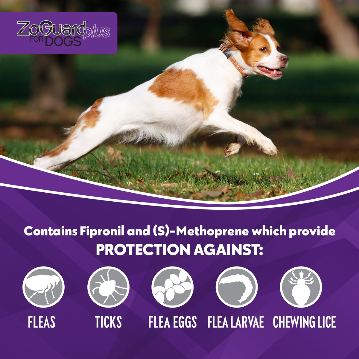 Flea and Tick Prevention for Medium Dogs 23-44lbs (3 Doses) Q4490