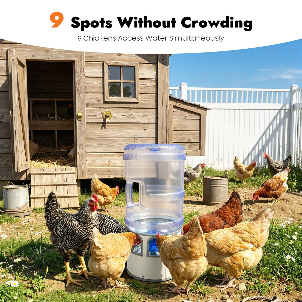 5 Gal Heated Chicken Waterer 80W Adjustable Temperature D274892