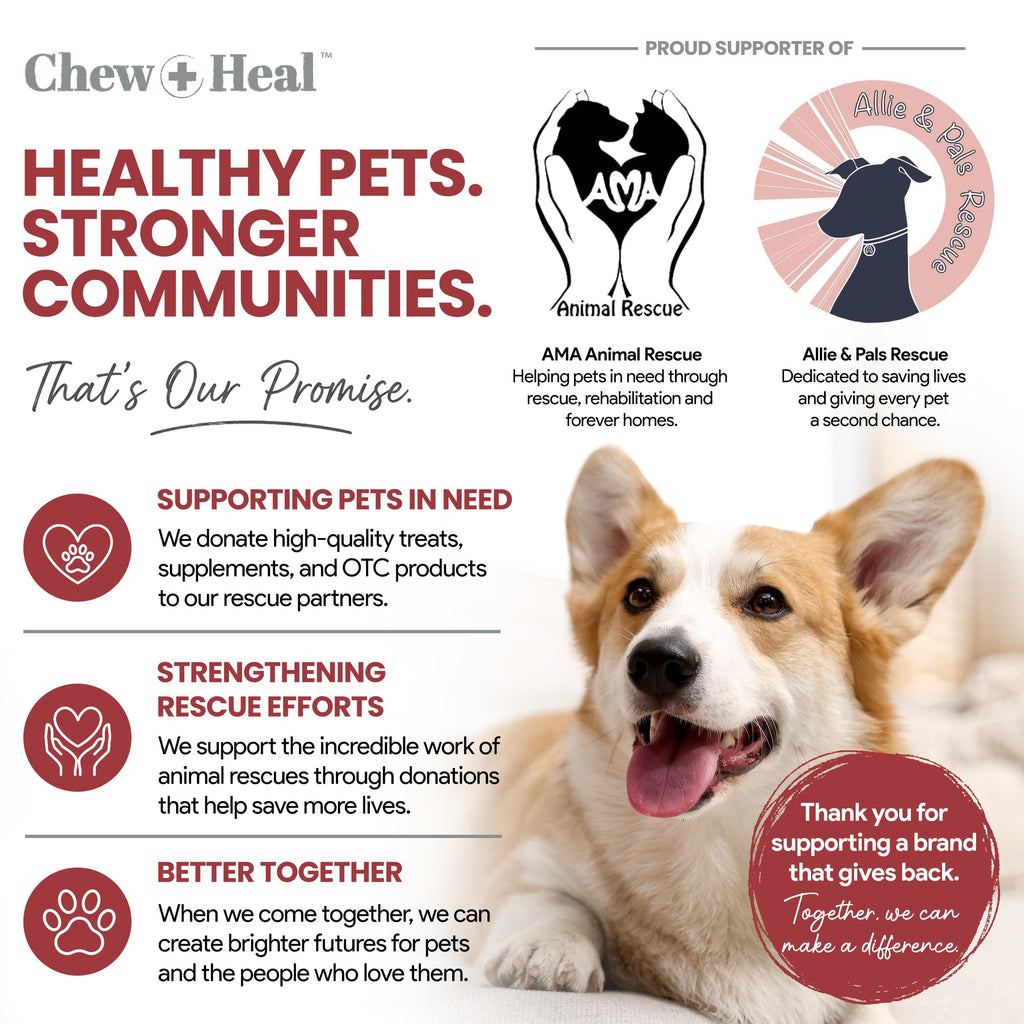 Cranberry Supplement for Dogs, 240 Soft Chews O565656