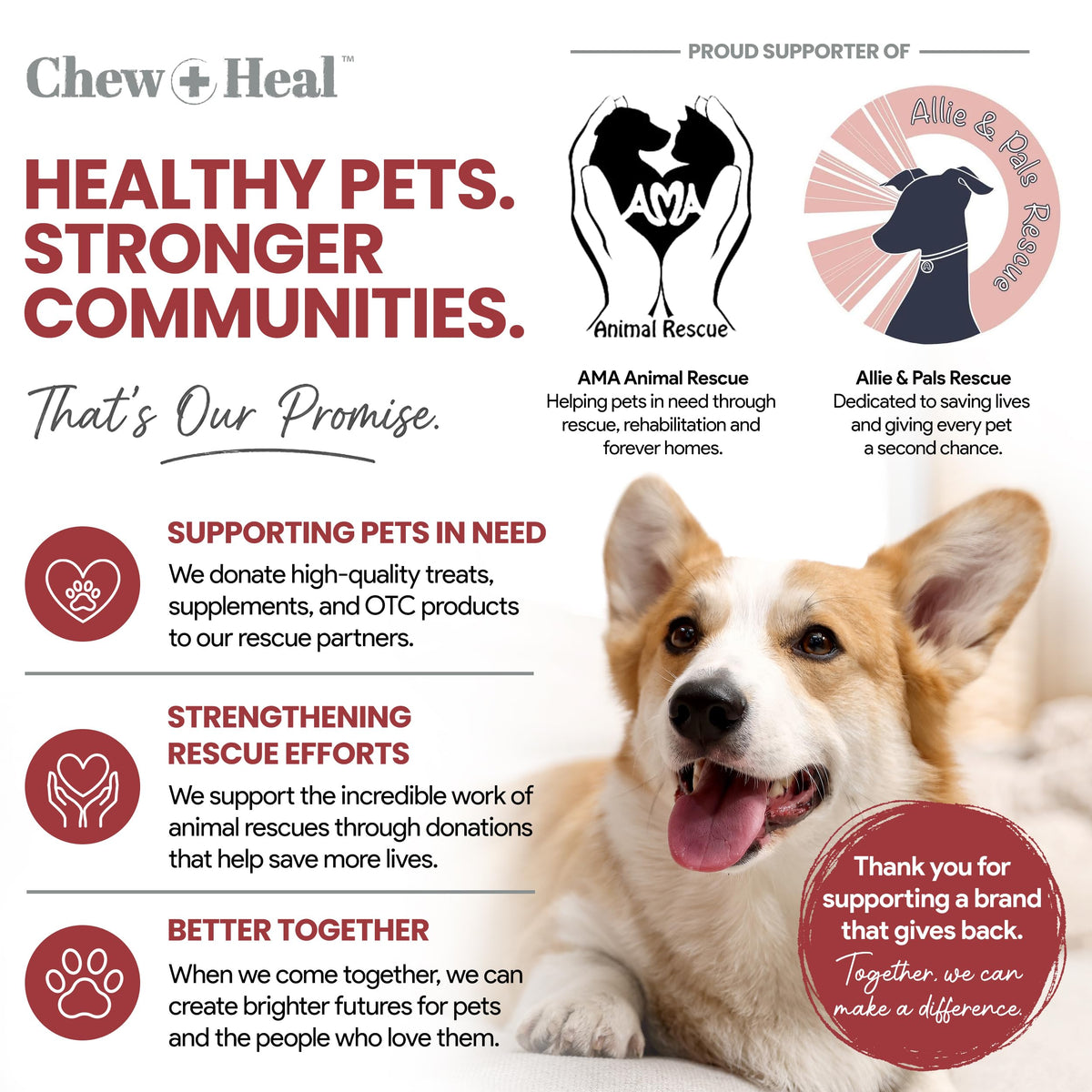 Cranberry Supplement for Dogs, 240 Soft Chews O565656