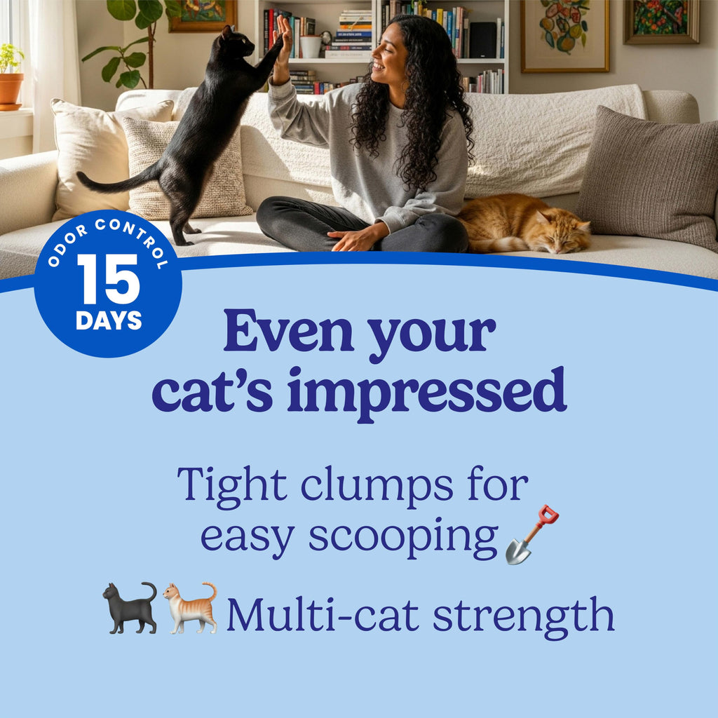 22 lb Clumping Cat Litter X7450