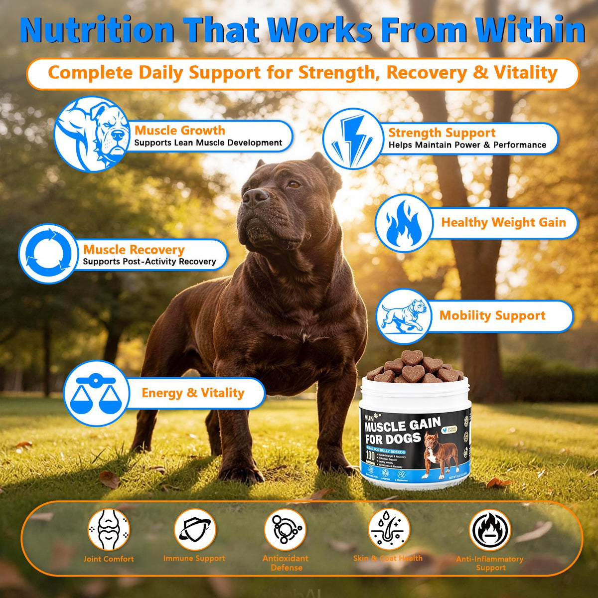 Dog Weight Gainer Soft Chews U636