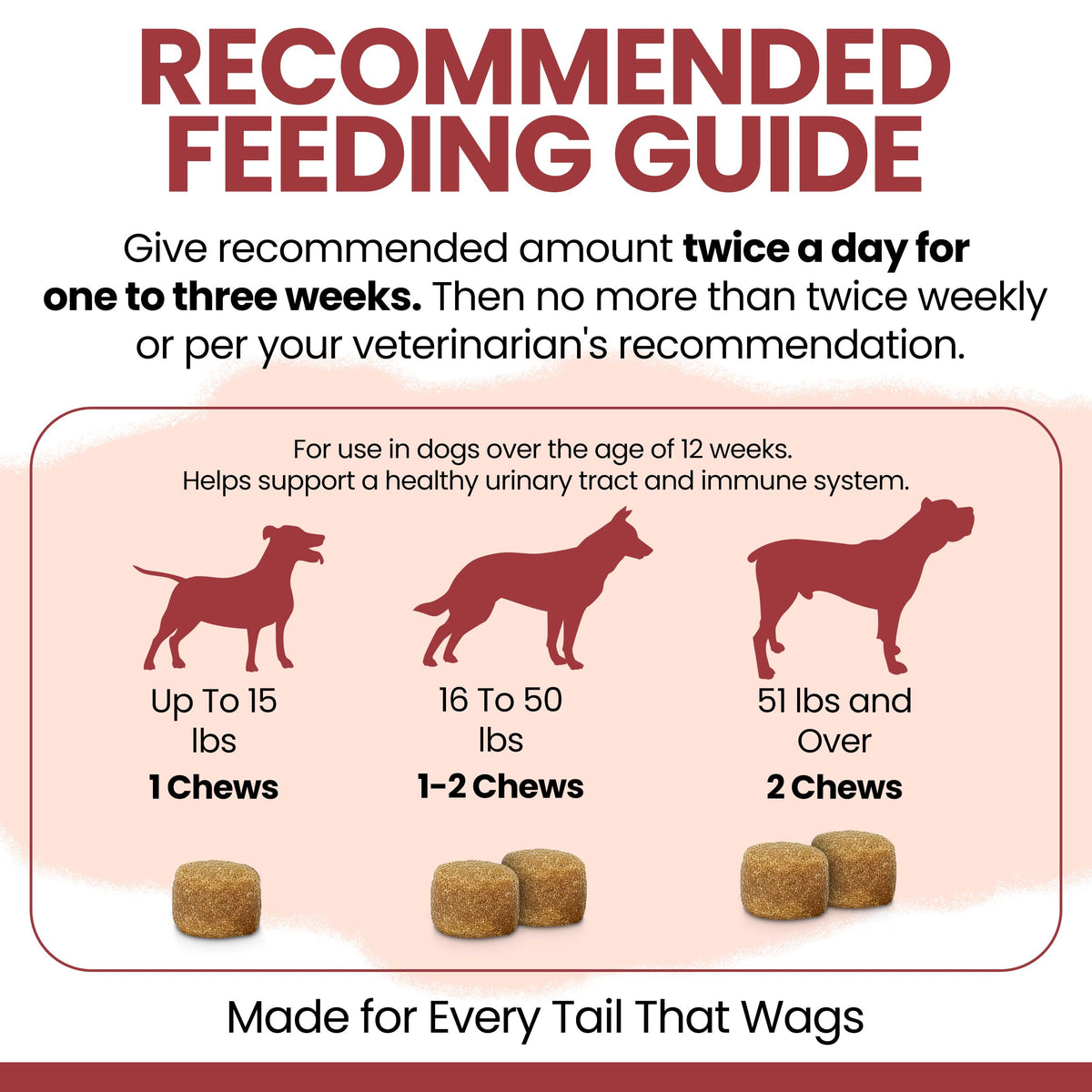 Cranberry Supplement for Dogs, 240 Soft Chews O565656