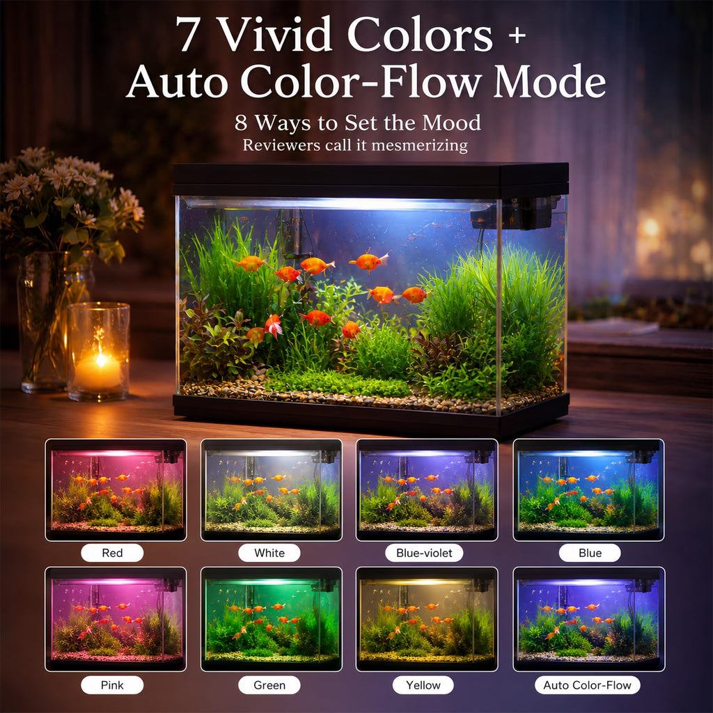 2.4 Gallon Desktop Betta Fish Tank Starter Kit F801936