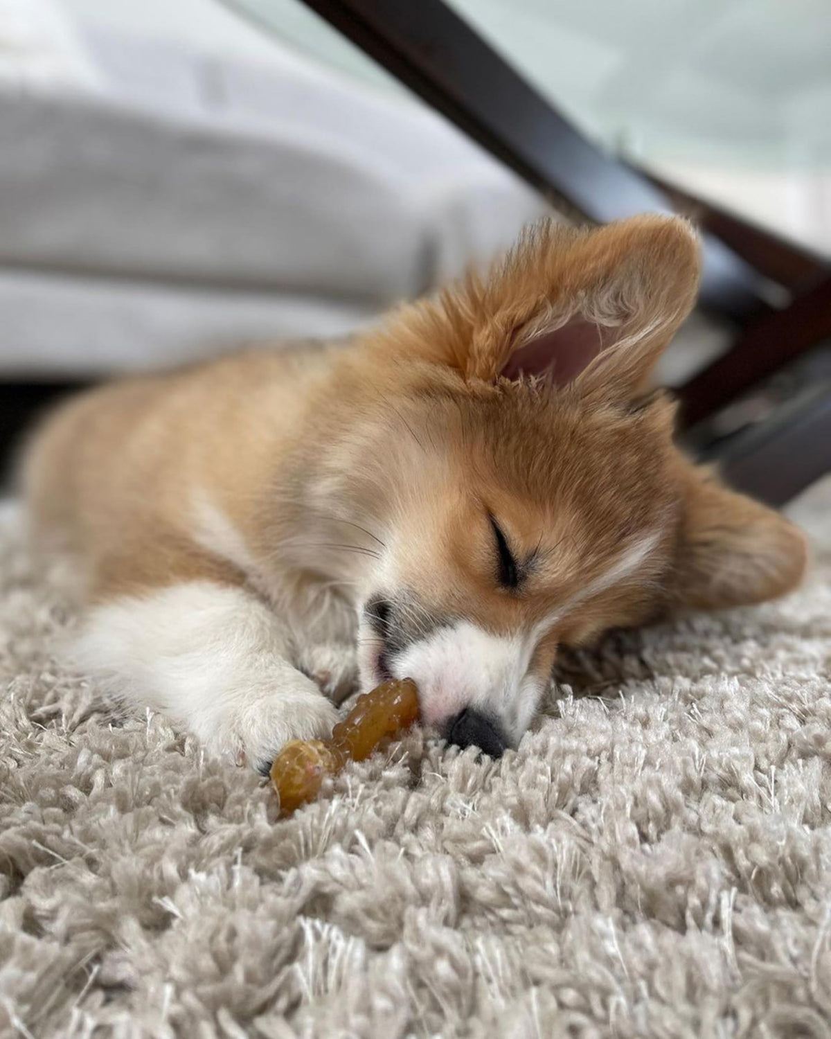 Chicken Flavor X-Small Dog Chew Toy V236