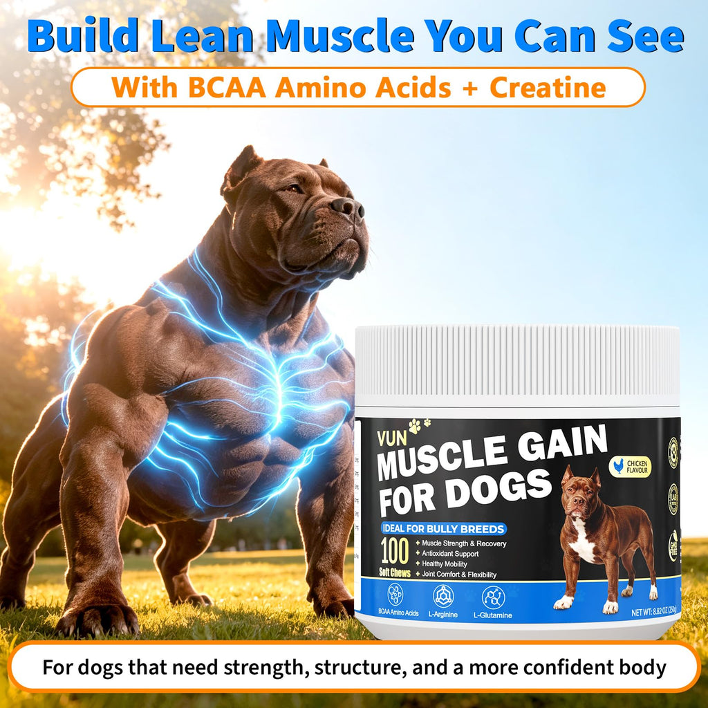Dog Weight Gainer Soft Chews U636