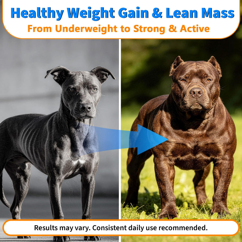 Dog Weight Gainer Soft Chews U636