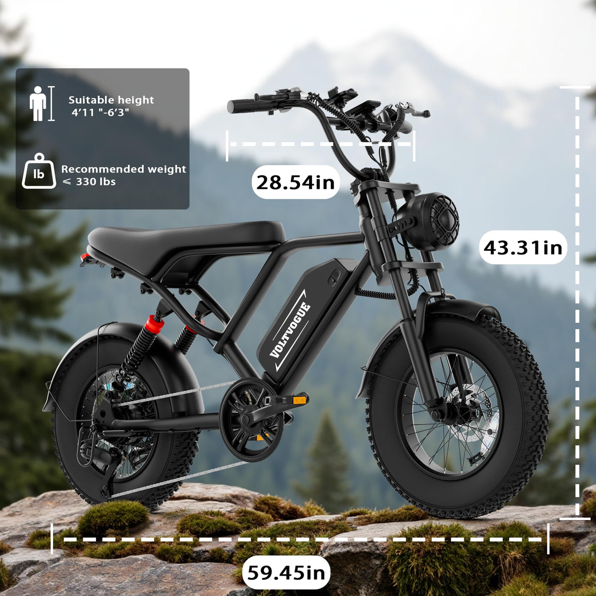 1500W Peak Motor Full Suspension Electric eBike Q626