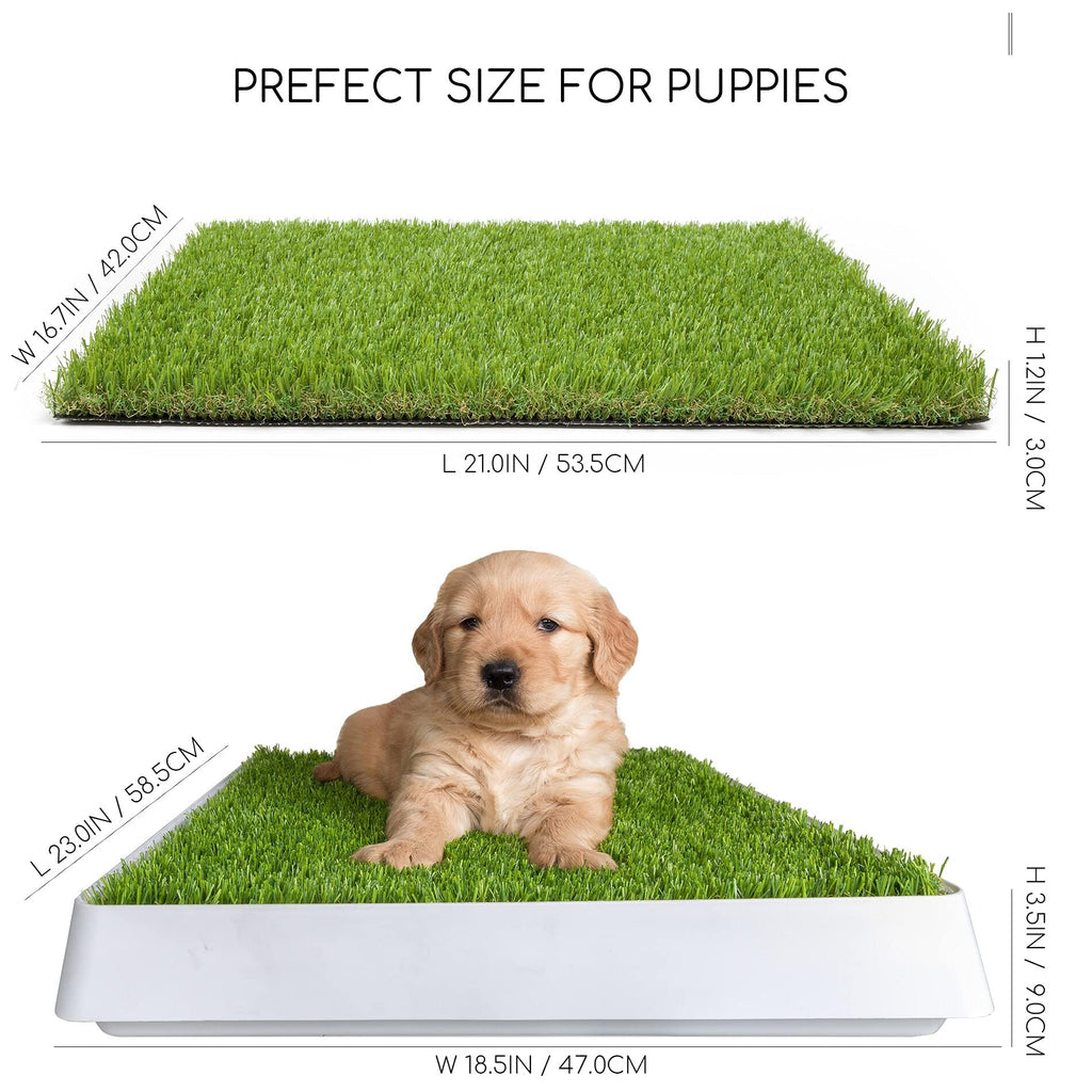 Dog Grass Pad with Tray Z10953