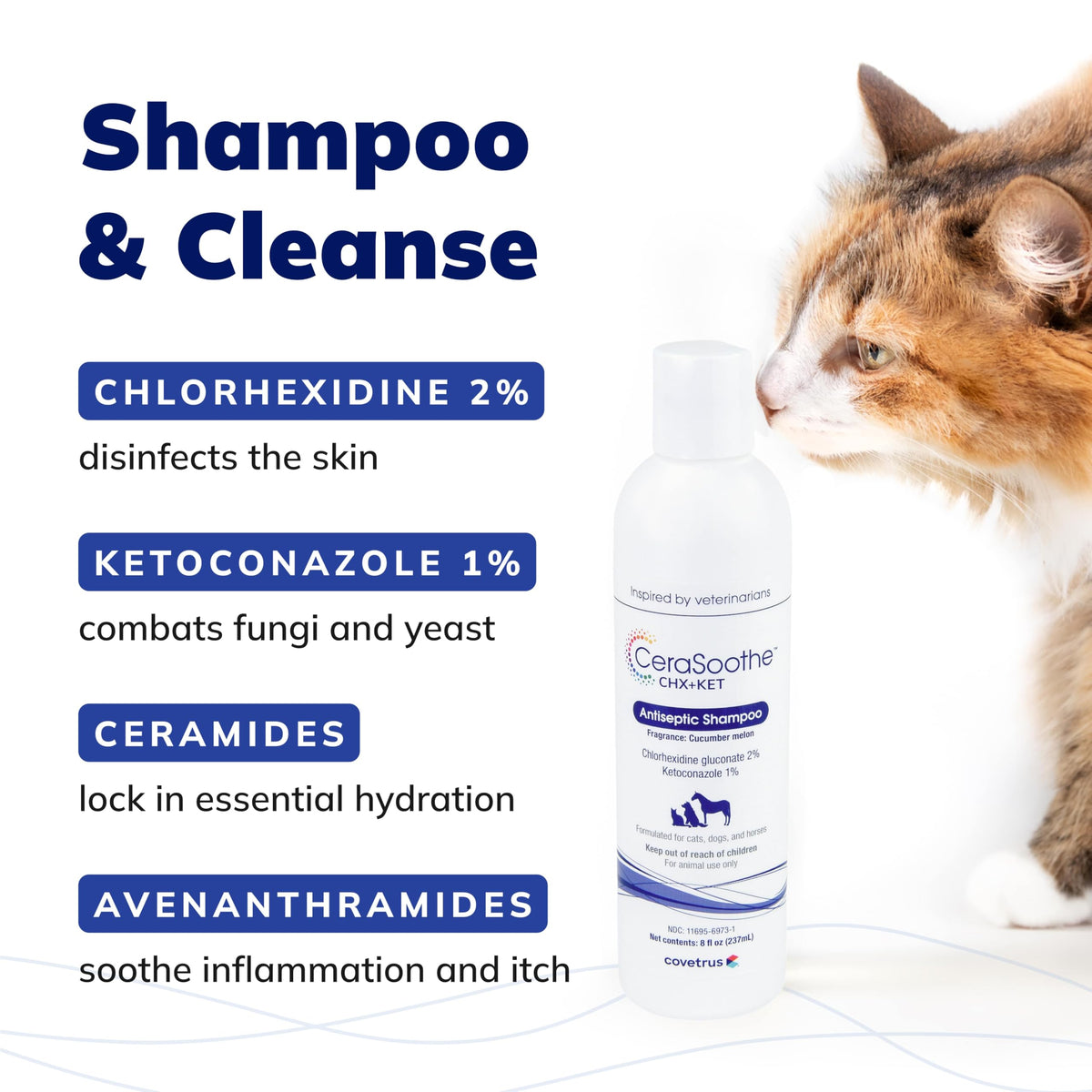 Chlorhexidine Ketoconazole Antiseptic Shampoo 16 oz H79991