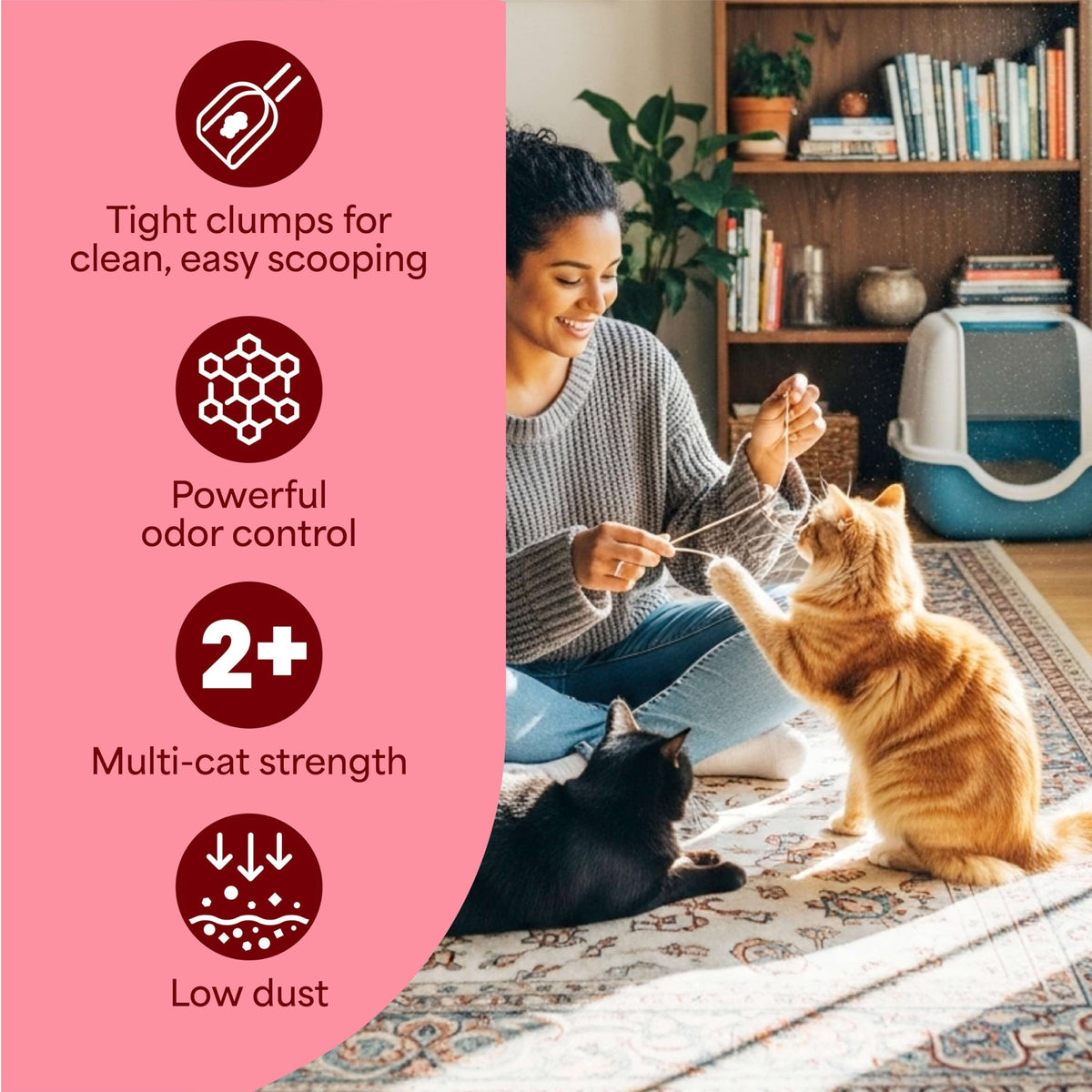 22 lb Clumping Cat Litter X7450