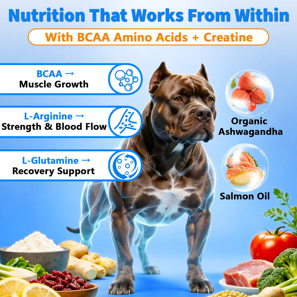 Dog Weight Gainer Soft Chews U636