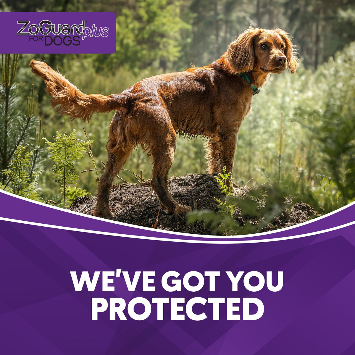Flea and Tick Prevention for Medium Dogs 23-44lbs (3 Doses) Q4490