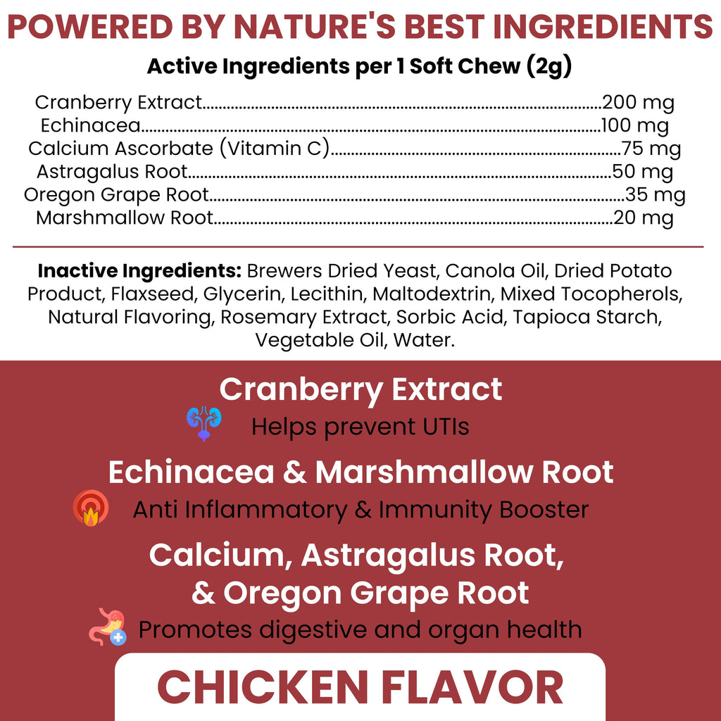 Cranberry Supplement for Dogs, 240 Soft Chews O565656