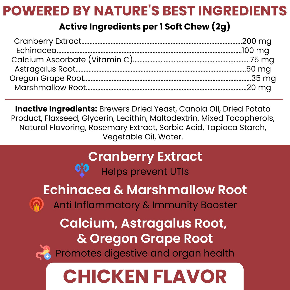 Cranberry Supplement for Dogs, 240 Soft Chews O565656