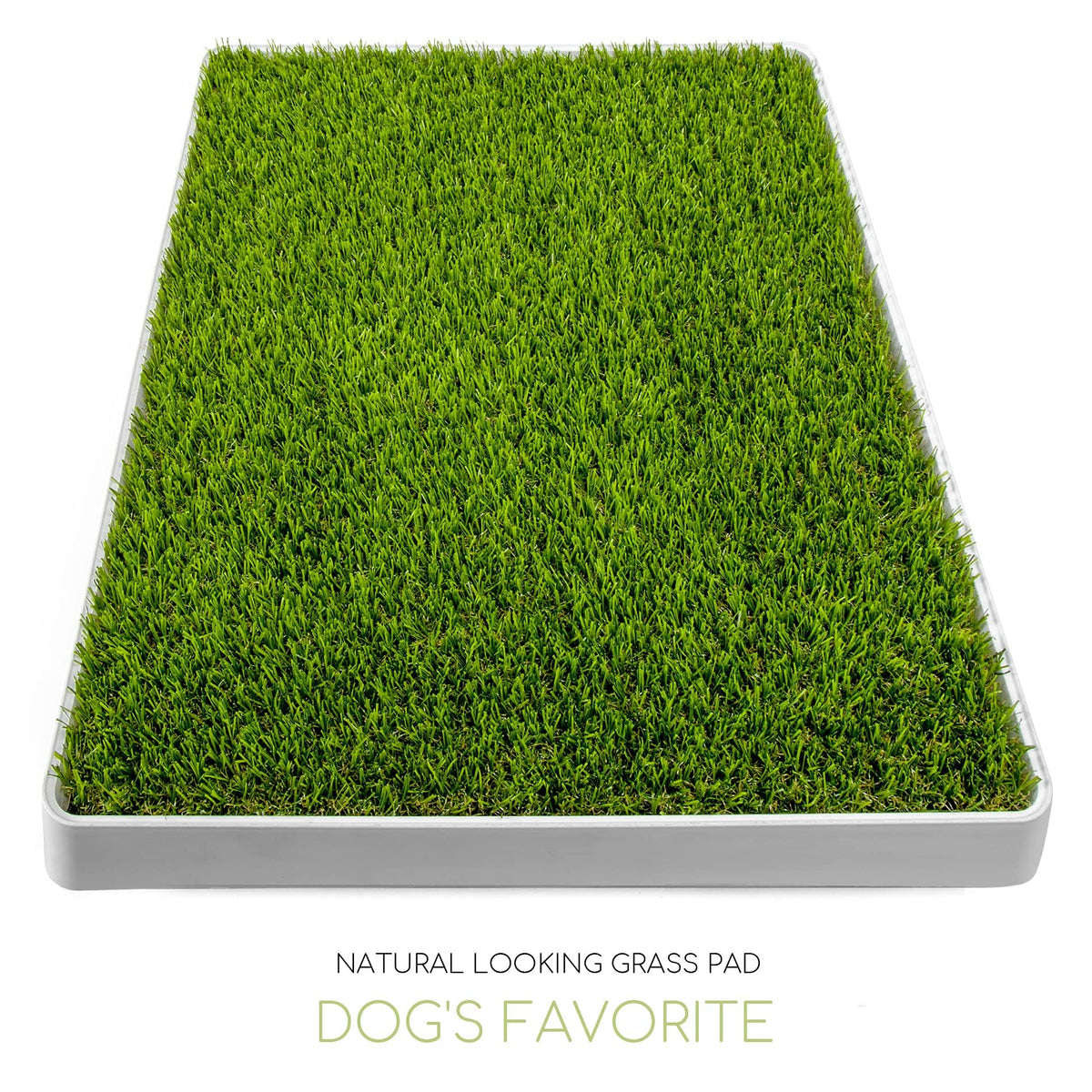 Dog Grass Pad with Tray Z10953